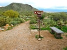 photo thumbnail #12