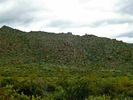 photo thumbnail #14