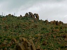photo thumbnail #15