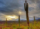 photo thumbnail #7