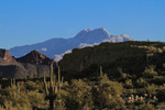 photo thumbnail #3
