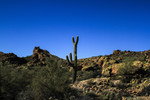 photo thumbnail #14
