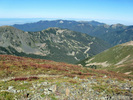photo thumbnail #10