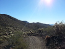 photo thumbnail #2