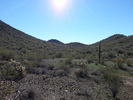 photo thumbnail #6