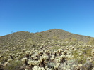 photo thumbnail #8