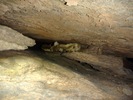 photo thumbnail #13