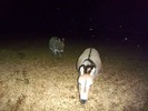 photo thumbnail #9