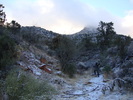 photo thumbnail #1