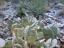 photo thumbnail #4