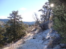photo thumbnail #6