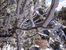 photo thumbnail #11