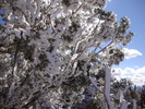 photo thumbnail #12