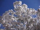photo thumbnail #13