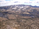 photo thumbnail #15