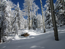photo thumbnail #2