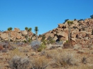 photo thumbnail #5