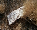 photo thumbnail #13