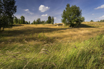 photo thumbnail #12