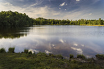 photo thumbnail #15