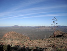 photo thumbnail #12