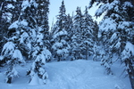 photo thumbnail #4