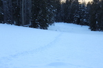 photo thumbnail #5