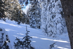 photo thumbnail #9