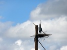 photo thumbnail #7