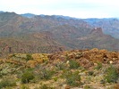 photo thumbnail #1