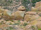 photo thumbnail #5