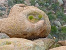 photo thumbnail #6
