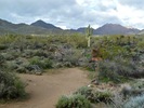 photo thumbnail #3