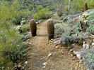photo thumbnail #6