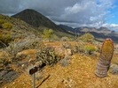 photo thumbnail #9