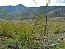 photo thumbnail #11
