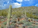 photo thumbnail #14