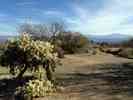 photo thumbnail #4