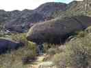 photo thumbnail #11