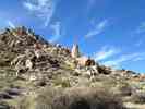 photo thumbnail #13