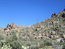 photo thumbnail #5