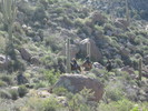 photo thumbnail #11
