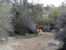 photo thumbnail #7