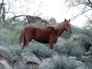 photo thumbnail #11