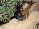 photo thumbnail #12