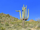 photo thumbnail #13