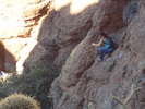 photo thumbnail #4