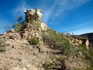photo thumbnail #12