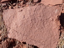 Featured Detail Photo