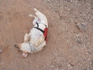 photo thumbnail #5